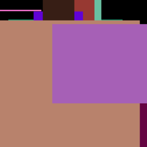 ACME Internet White Book