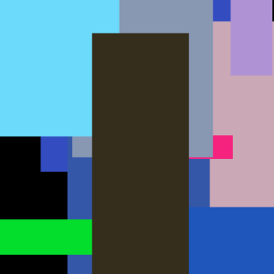 Shoe Small Bikini Cover