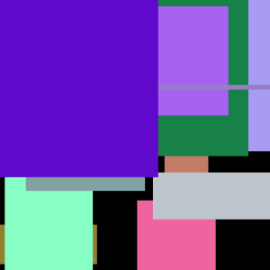 Shampoo Princess Shoe