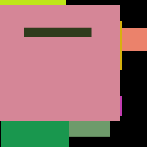 Apple DVD Medium Chicken