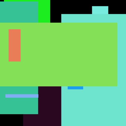 CD Strawberry Silver