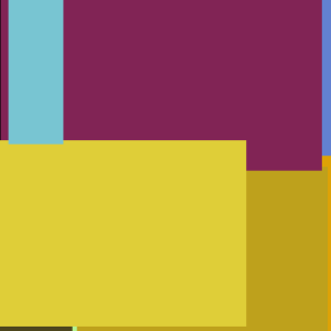 Diamond Meat Car Natural Hair