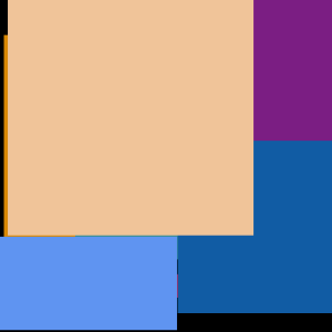 Purple Pumpkin Purple Pumpkin