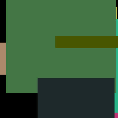 Gun Large Fish Video Gun Large Fish Video